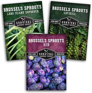 Heirloom Brussels Sprouts Seeds 3 Variety Pack - Red, Catskill, Long Island Improved Non-GMO Open-Pollinated Cool Season Survival Garden Seeds