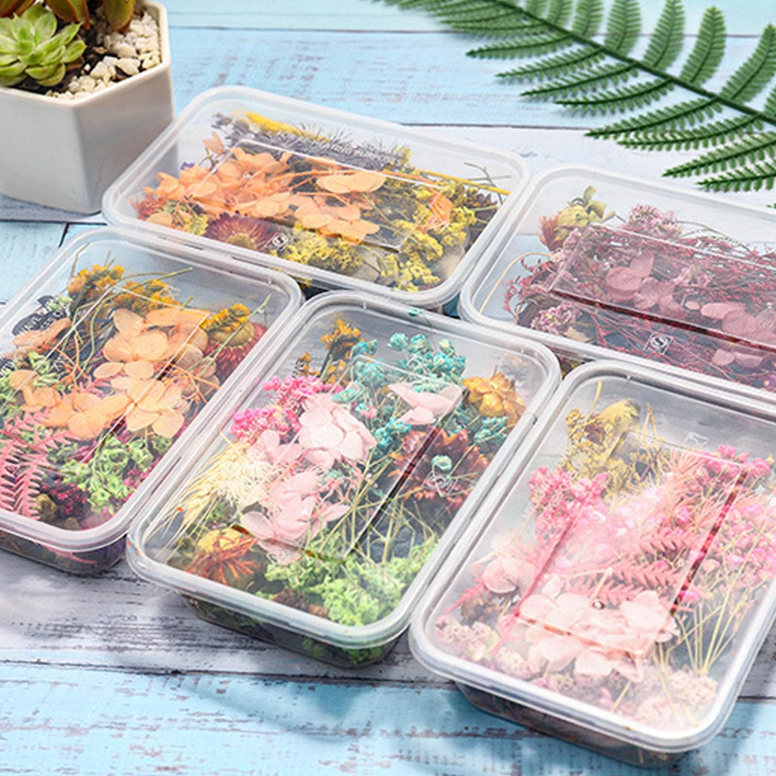 Trockenblumen Set, 9 Box, Getrocknete Blumen zum Basteln, Jahrestag Geschenk für ihn und sie, Geschenke für Frauen, Freundin, Partner, Valentinstag, Hochzeit, Geburtstag, Trocken Blumen Deko (Mix)