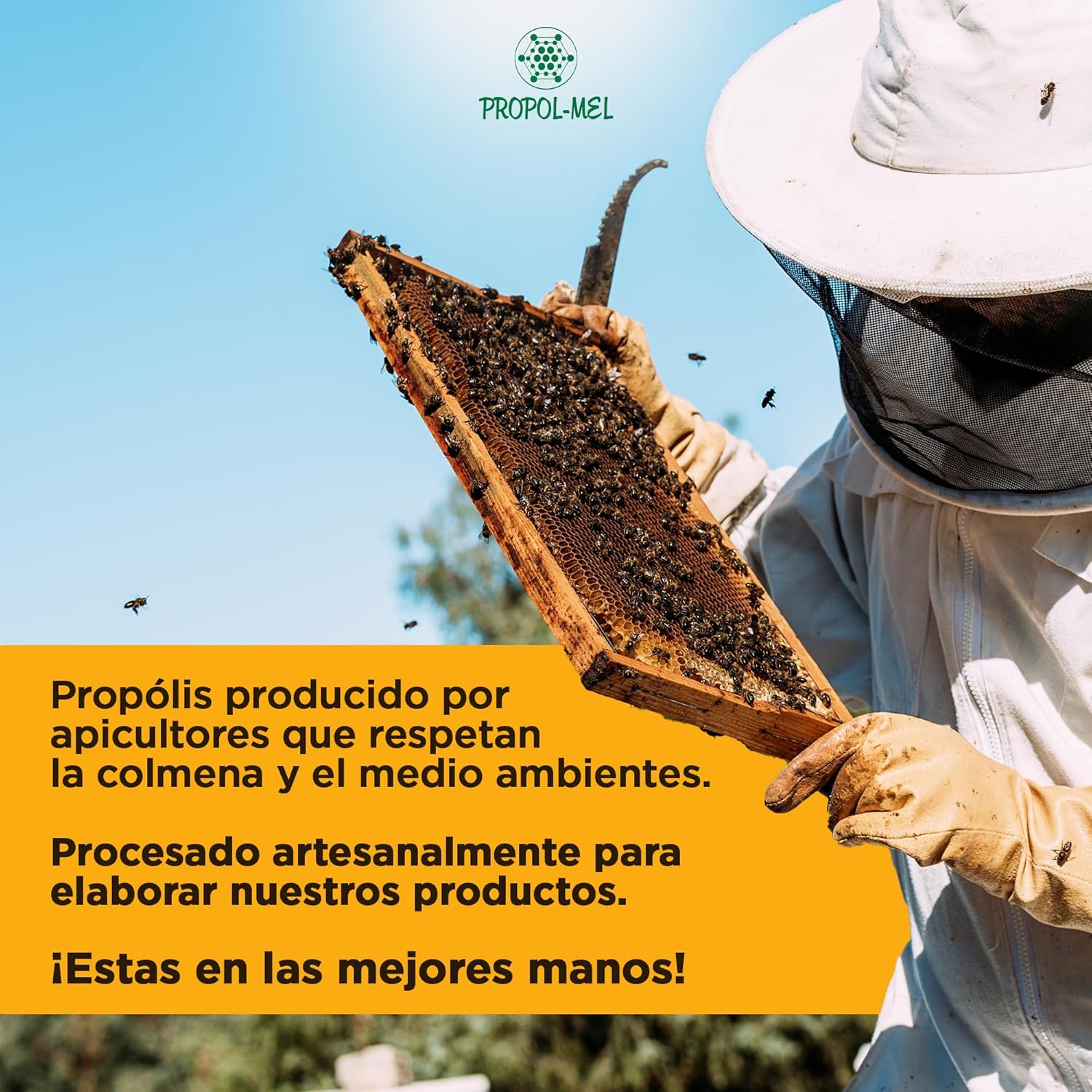 81f6sw dEmL. AC SL1500