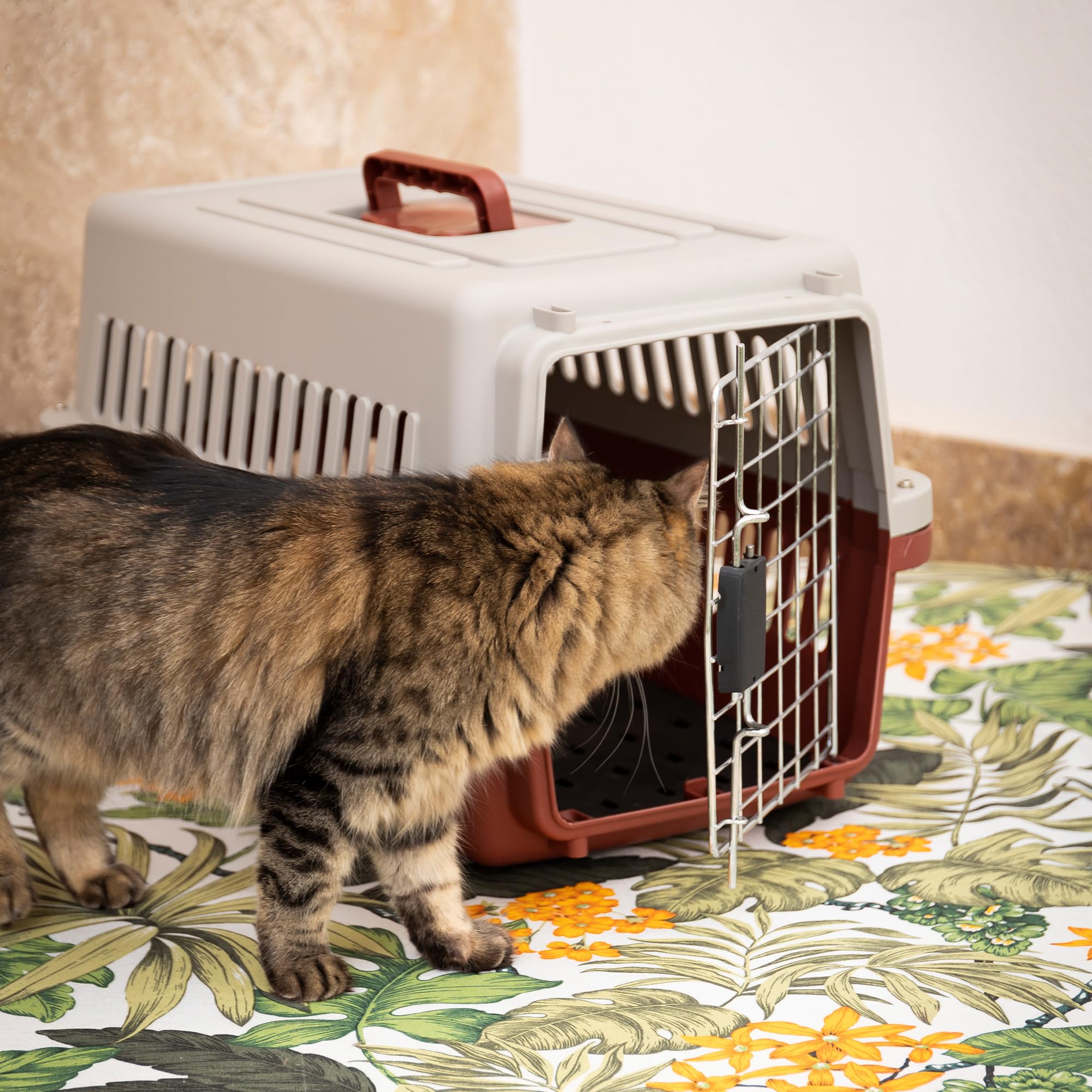 Cofan Transportín para Mascotas | Medida 58 x 37 x 35 cm