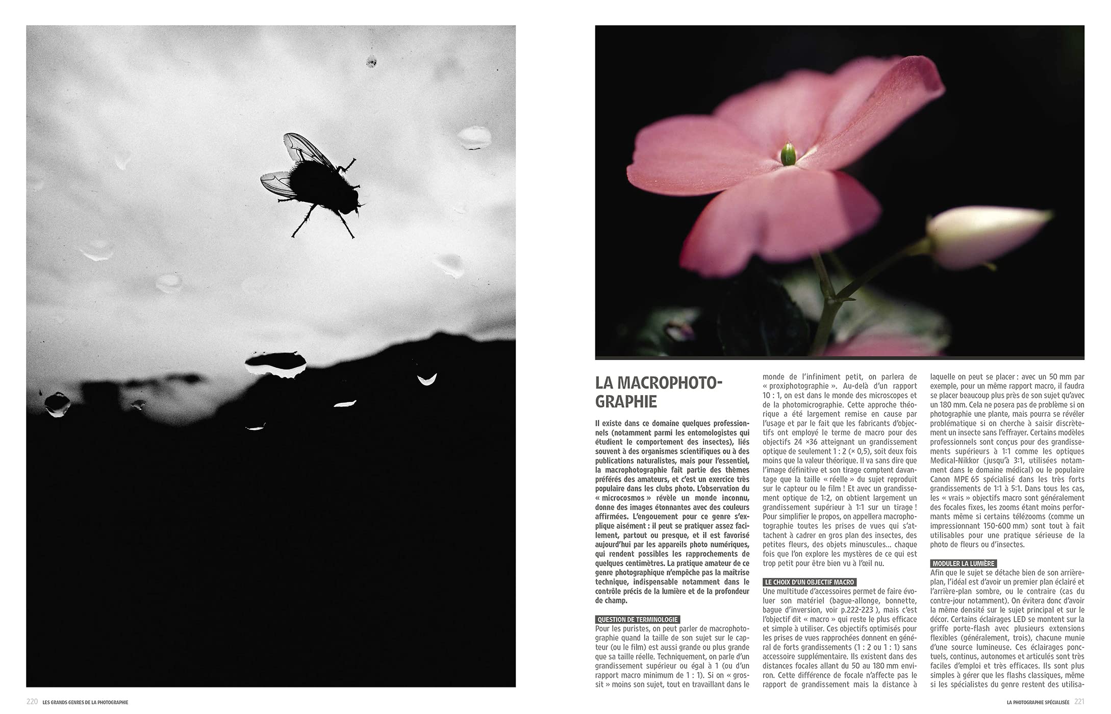 Photographie : Techniques, Pratique, Esthétique: Techniques - Pratique - Esthétique