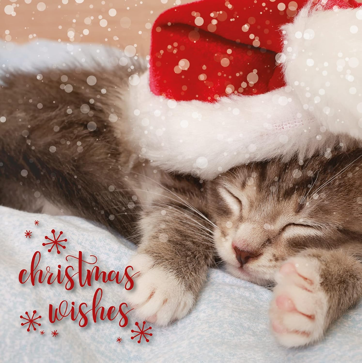 Emotional Rescue Christmas Cards Multi-pack, 12 Multi-pack Christmas Cards, 4 Different Designs, Pack of 12 Multi-pack Christmas Card, Animal Christmas Card Multipack, Christmas Cards Pack, AMZBRIGHT2