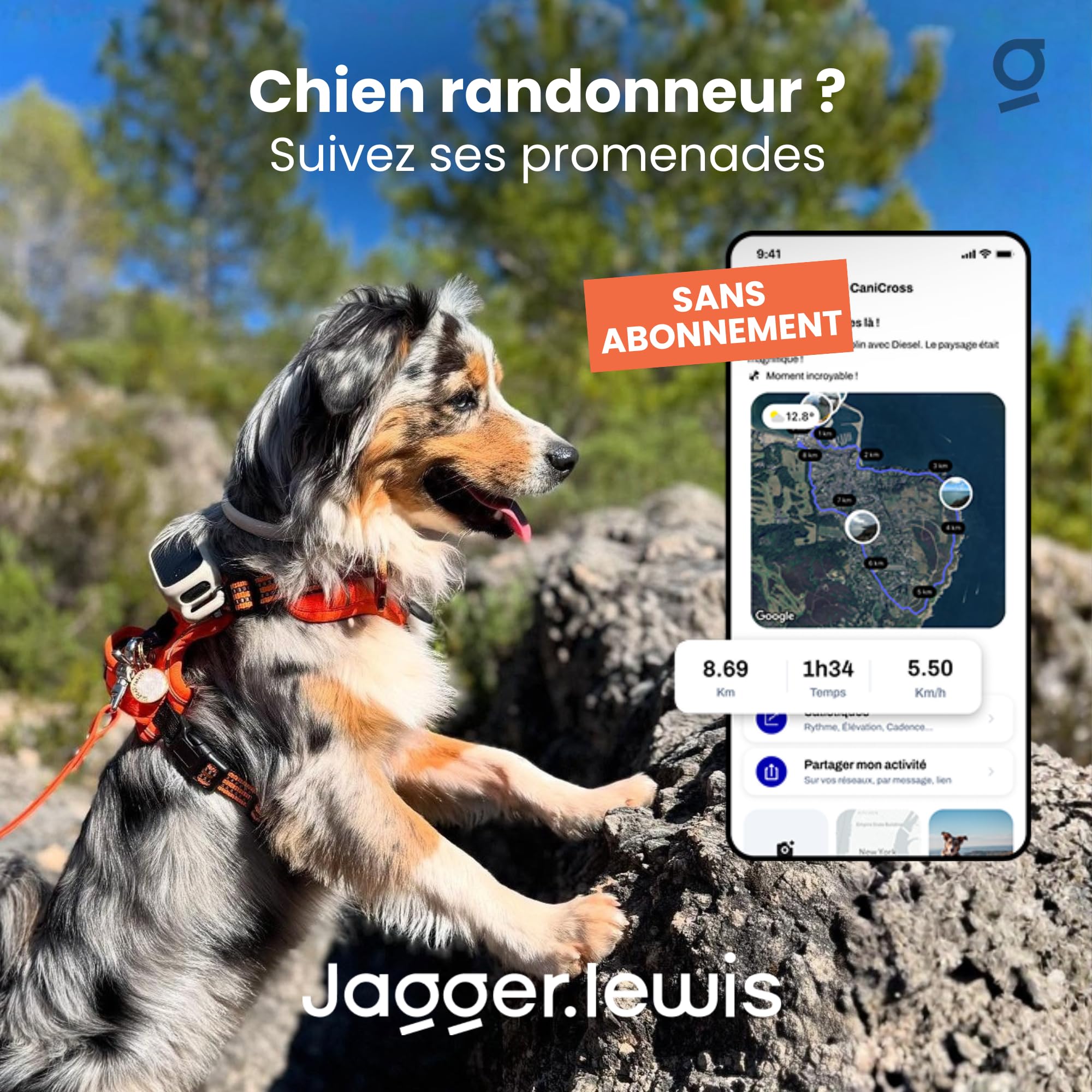 Jagger Lewis GPS pour Chien sans Abonnement | Localisation GPS en Direct | Alertes Anti-Fugue | Suivi Activité et Bien-Être | Application iOS et Android (Charbon, avec Smartdock)