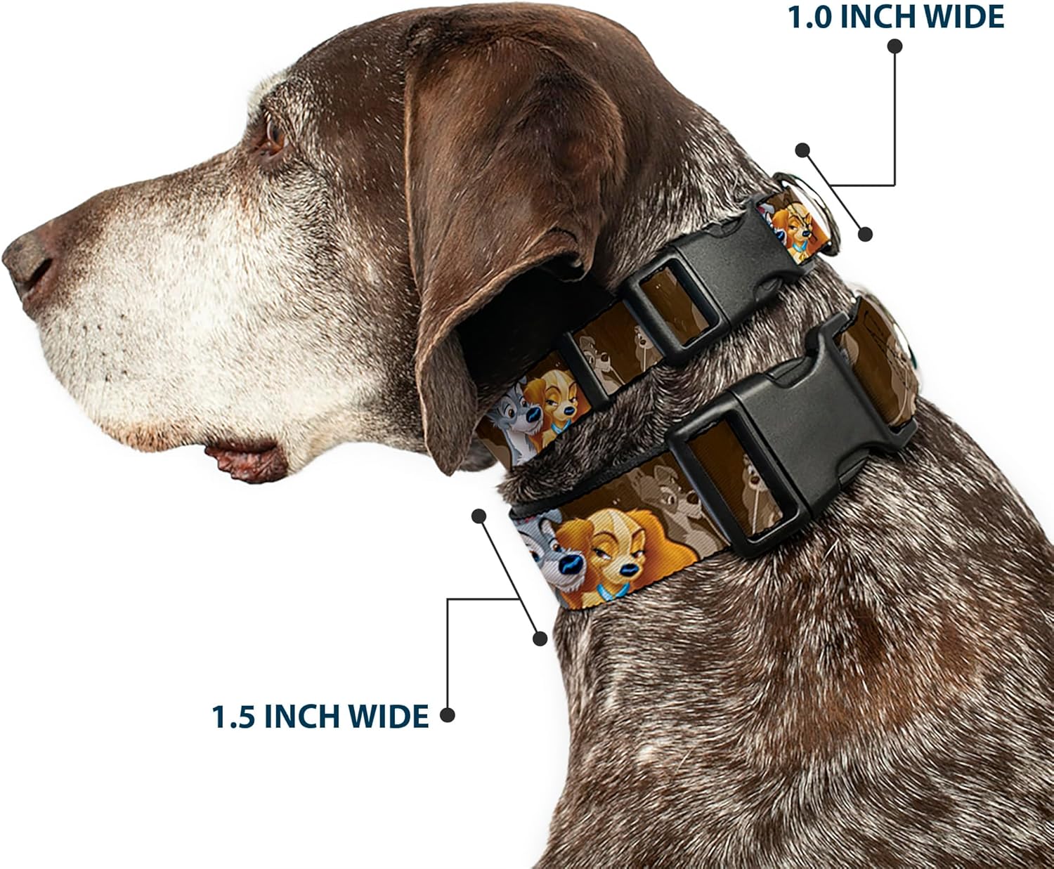 Dog Collar Plastic Clip Lady And Tramp 2 Poses Spaghetti Kiss Scene Browns 13 to 18 Inches 1.5 Inch Wide