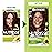 Garnier Hair Color Nutrisse Nourishing Creme, 434 Deep Chestnut Brown (Chocolate Chestnut) Permanent Hair Dye, 2 Count (Packaging May Vary)