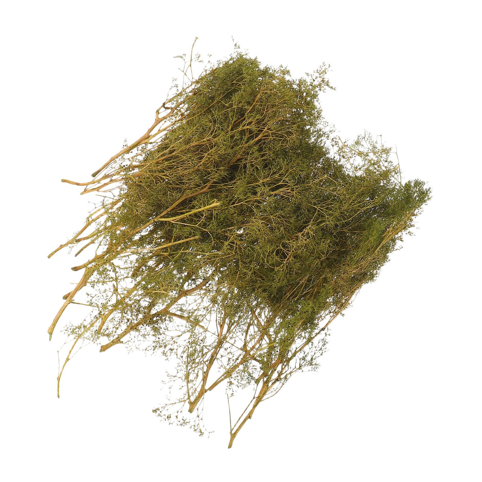 IDEANATEGRATE Dry Wood Branches Miniature Thorn Bush Model Trees for Train Layout and Yard Miniature Trees Setups Creative Expansion Easy Assembly for Enthusiasts and Beginners — image 1
