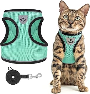 SCENEREAL Cat Harness and Leash for Walking, Escape Proof Adjustable Soft Mesh Cat Leash and Harness Set, Reflective Cat Leash for Kitten Puppy Rabbit, Vest Harnesses for Small Cats
