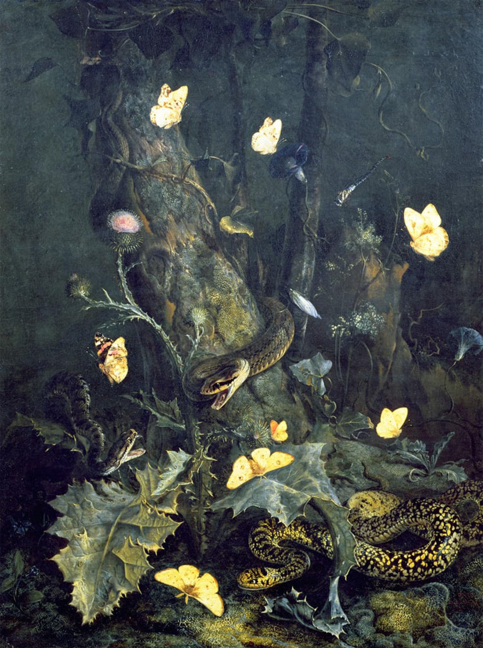 POSTERIIk Famous Modern Artwork Art Mural Snakes and insects by Otto Marseus Van Schrieck Oil Paintings Pictures for Home Decor 60x90cm