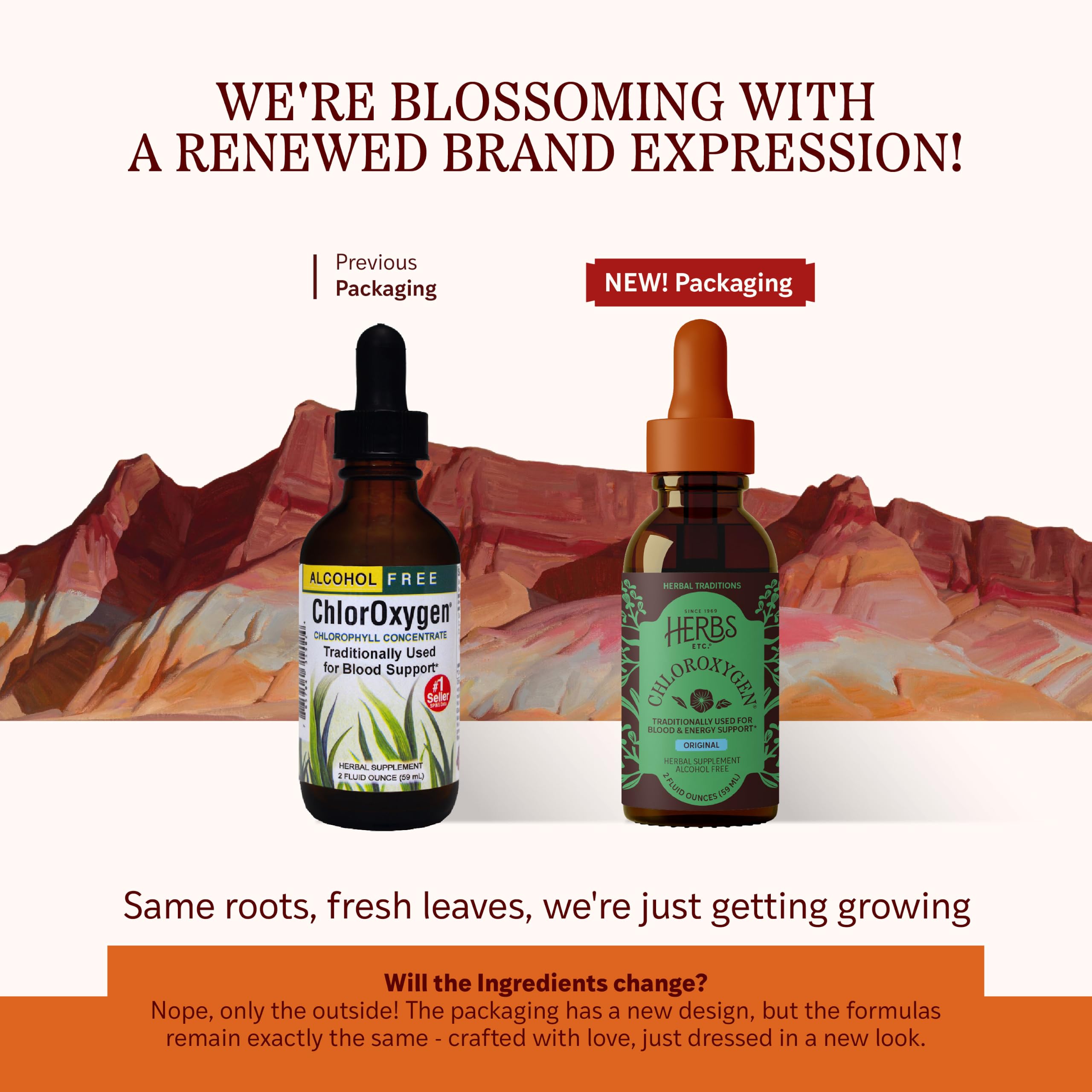 Herbs Etc. ChlorOxygen Chlorophyll Concentrate Original Drops, 2 fl oz — Amazon image 2