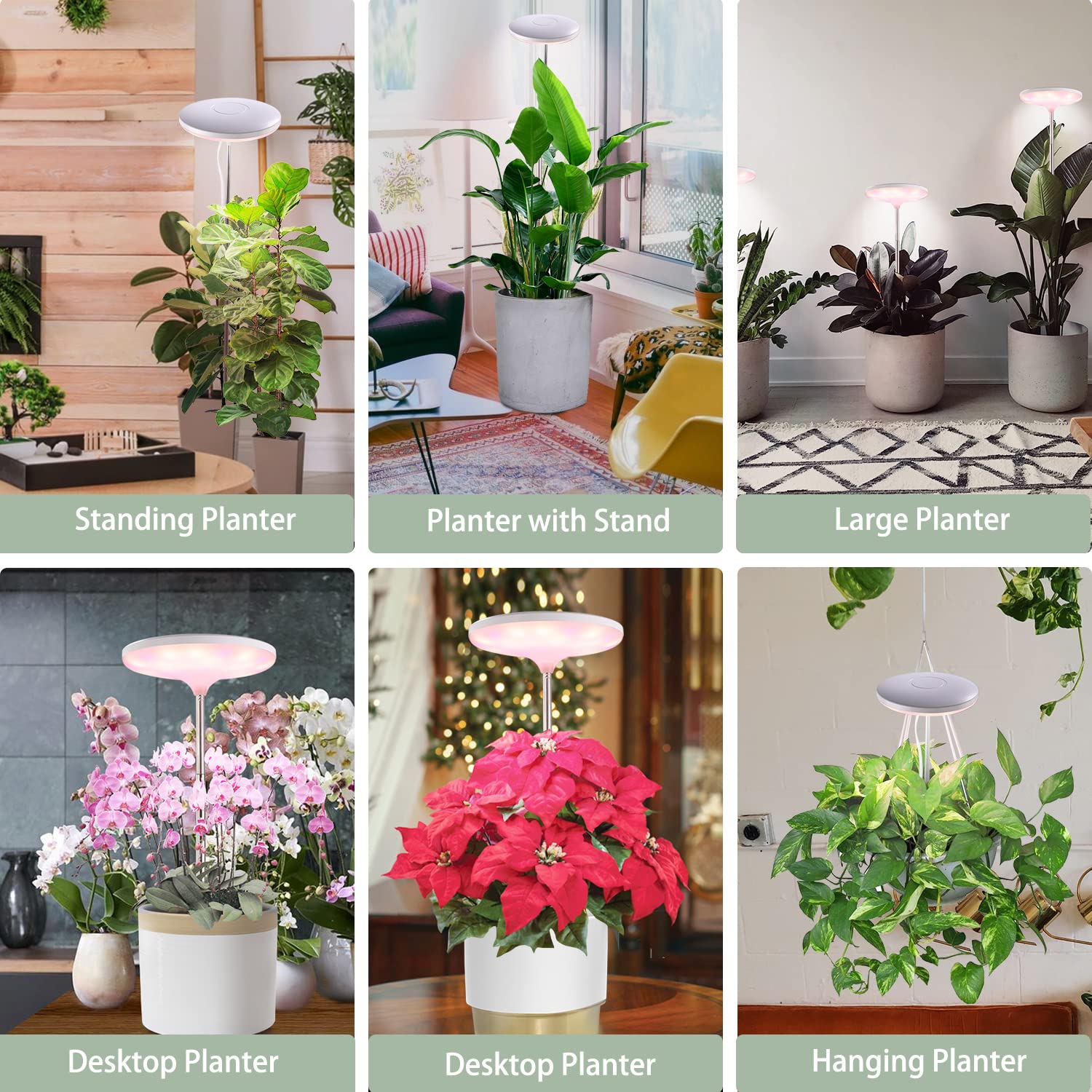 Umbrella Plus Grow Light, Herb Garden, 6ft Height