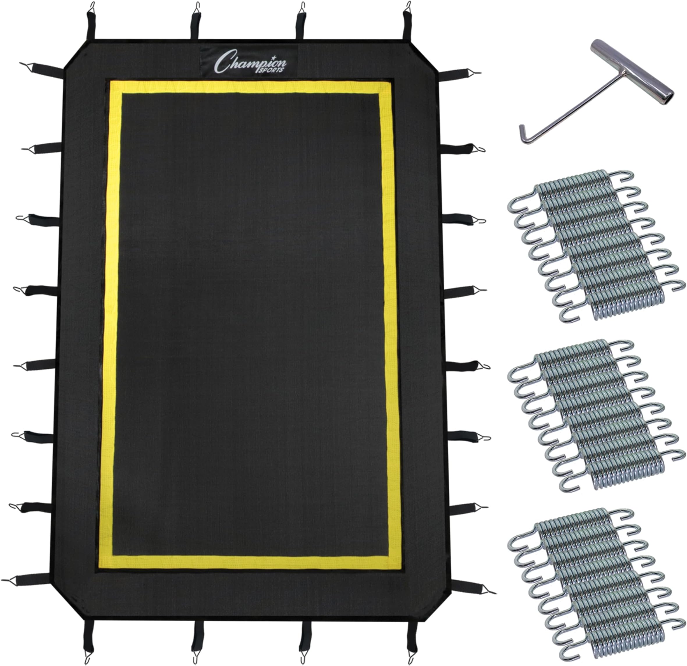 Champion Sports Deluxe Lacrosse Target: Ball Return Bounce Back Net Set for Professional, College and Grade School Training & Drills