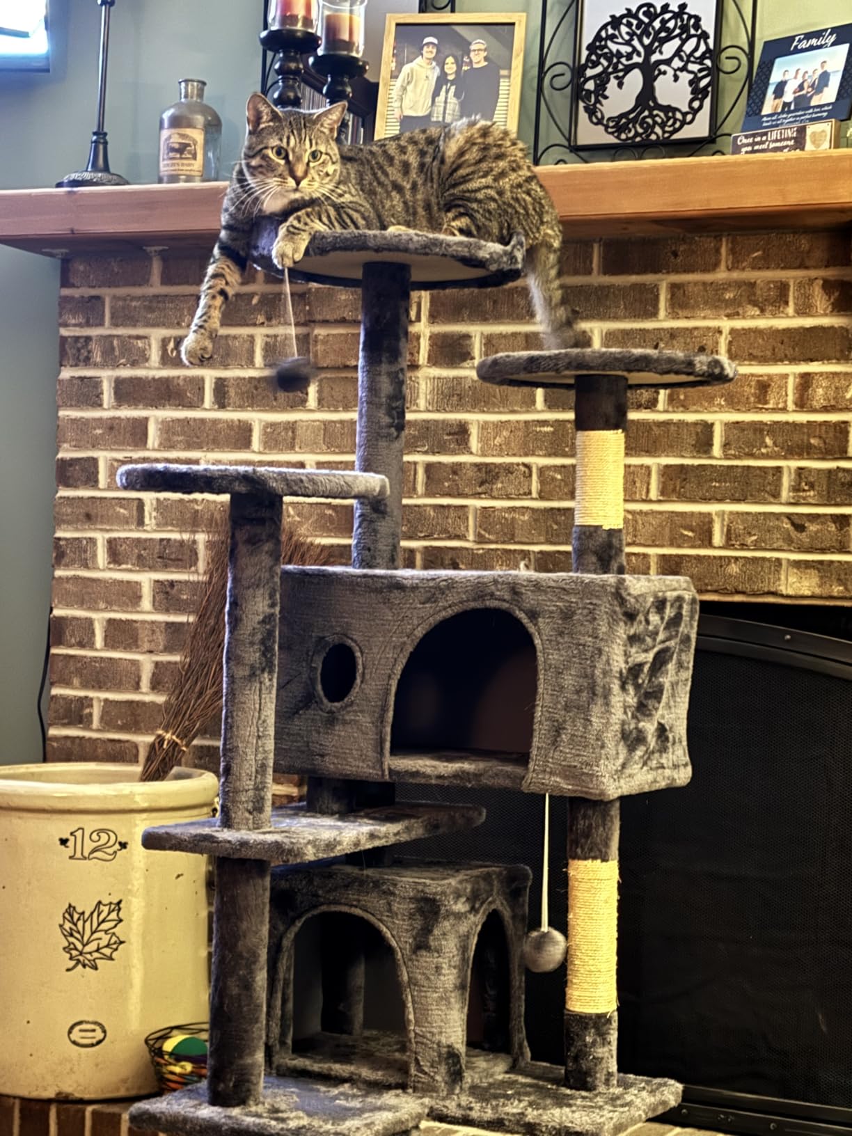 FDW Cat Tree 54in Cat Tower Multi-Level Durable Cat Scratching Post & Cozy Fun Cat Jumping Platform Space Saving Cat Condo Pet Play House for Indoor Cats,Dark Gray photo review