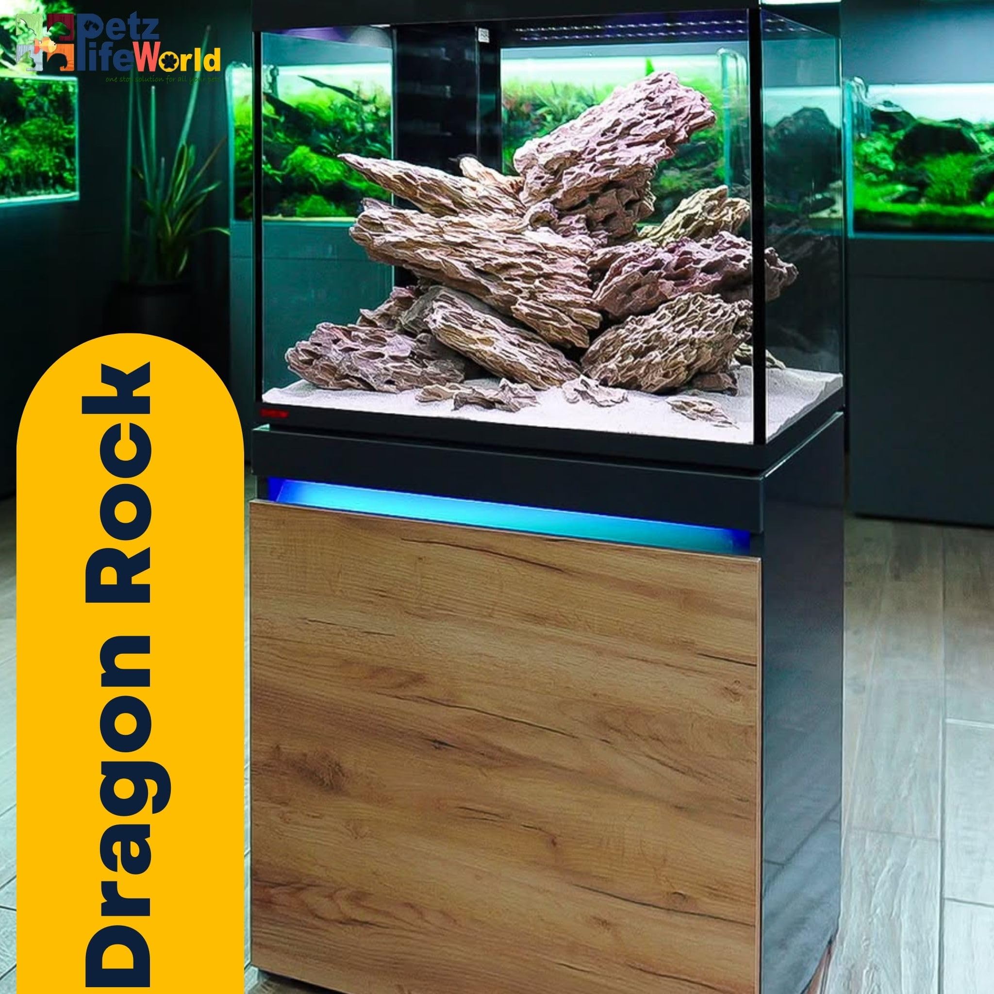 Aquascaping Dragon Rock (Ohko Stone) - 5 Kg | Natural Aquarium Rock for Planted Tanks & Aquascaping Layouts 1