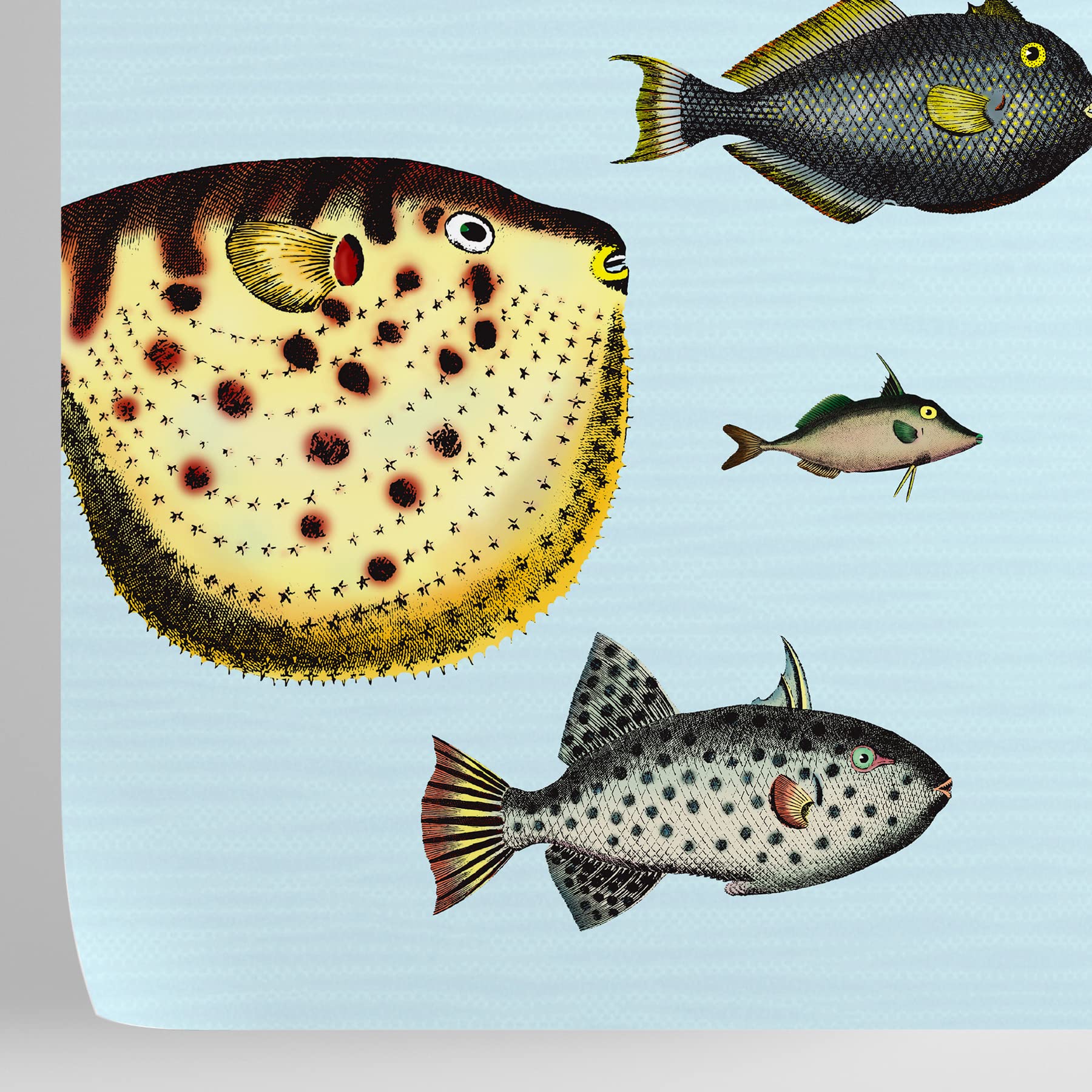 Papier peint aquarium W4B facile à poser pour masquer un mur abîmé de maison