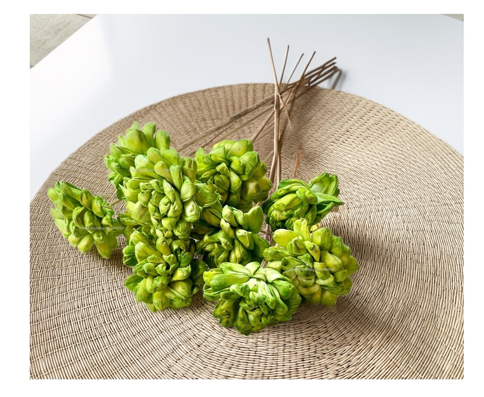 SPHINX Artisanal Handmade Sola Flower Sticks for Decorations - Natural, Sustainable, Eco-Friendly - Sola Rose, Peony, Lotus, Carnation Sticks- Height Approx 50 cms - (10, Green Su Flower)-image-44