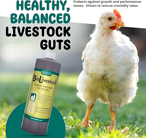 Miniatura 3 de SCD Bio Livestock - Probiotic Feed and Water Additive - Probiotics for Cows Pigs Horses Chickens Ducks Rabbits