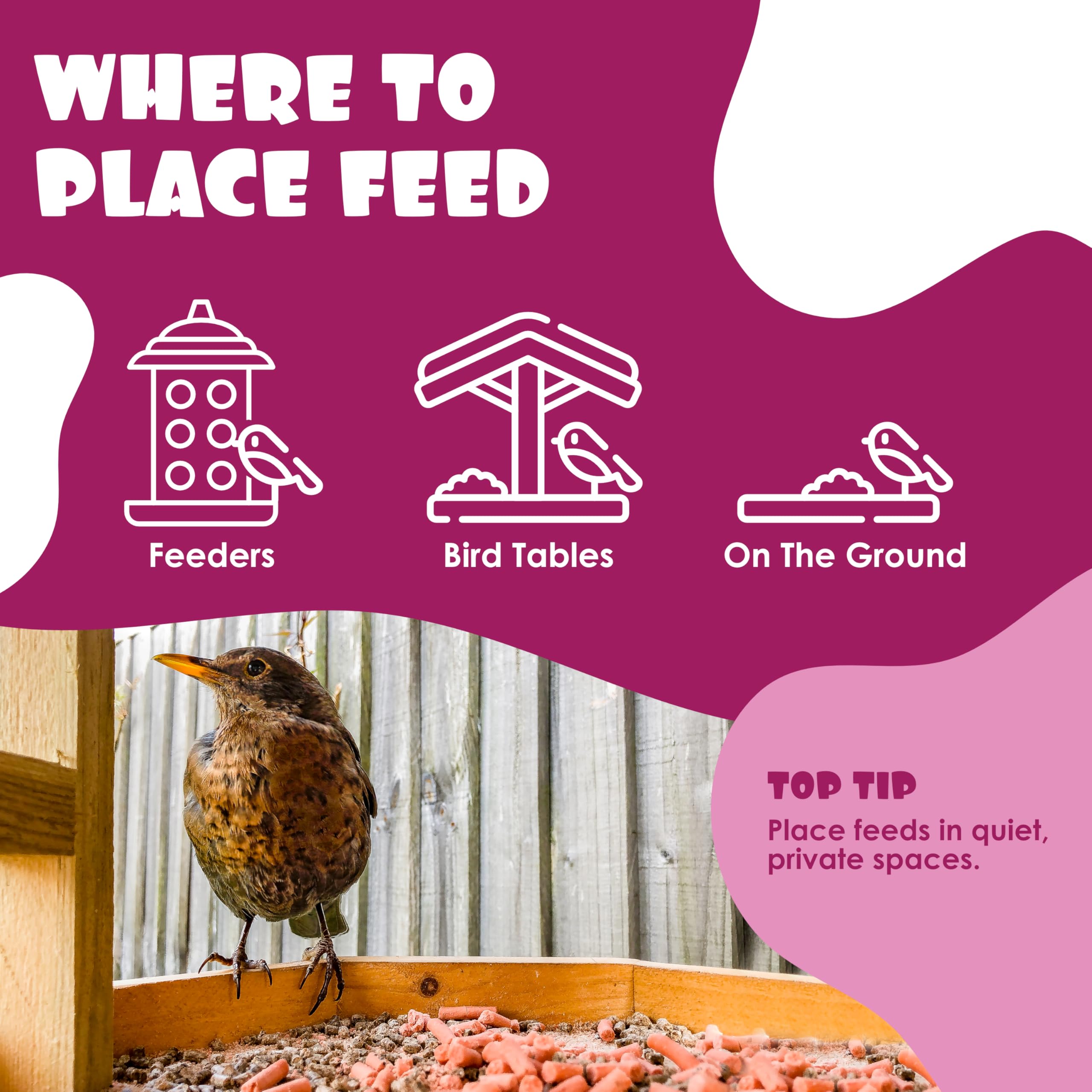 Peanut & Berry Flavoured Suet Pellets, 3kg Resealable Tub - Wild Bird Food Enriched with Human Grade Beef Tallow, High in Energy & Protein - All-Season Bird Feed - Manufactured In The UK — view 5