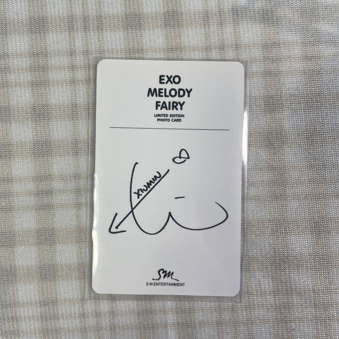 送料関税無料 K-POP/アジア EXO MELODY - FAIRY 本日限り】EXO 音楽  