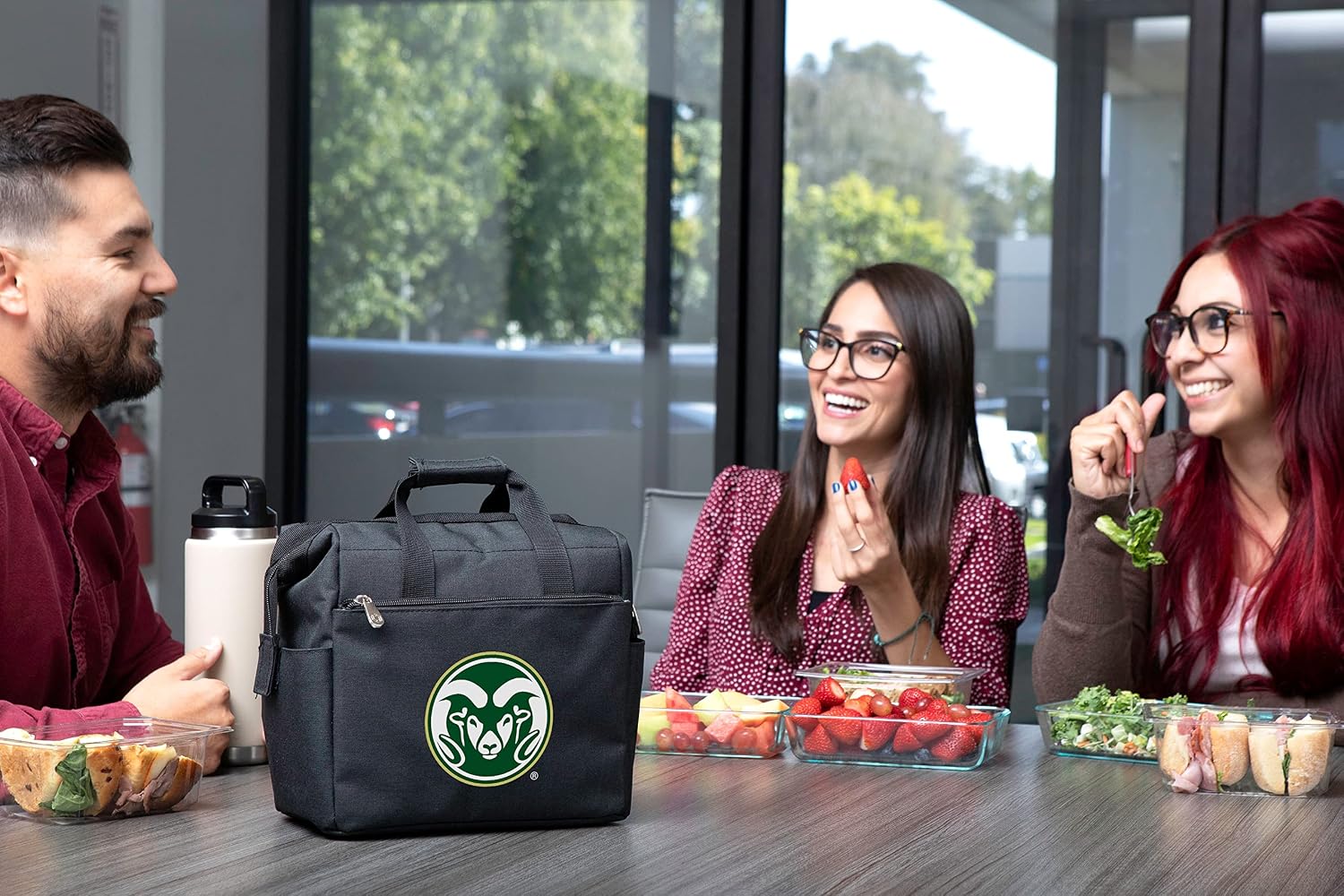 PICNIC TIME NCAA unisex-adult NCAA On The Go Lunch Cooler
