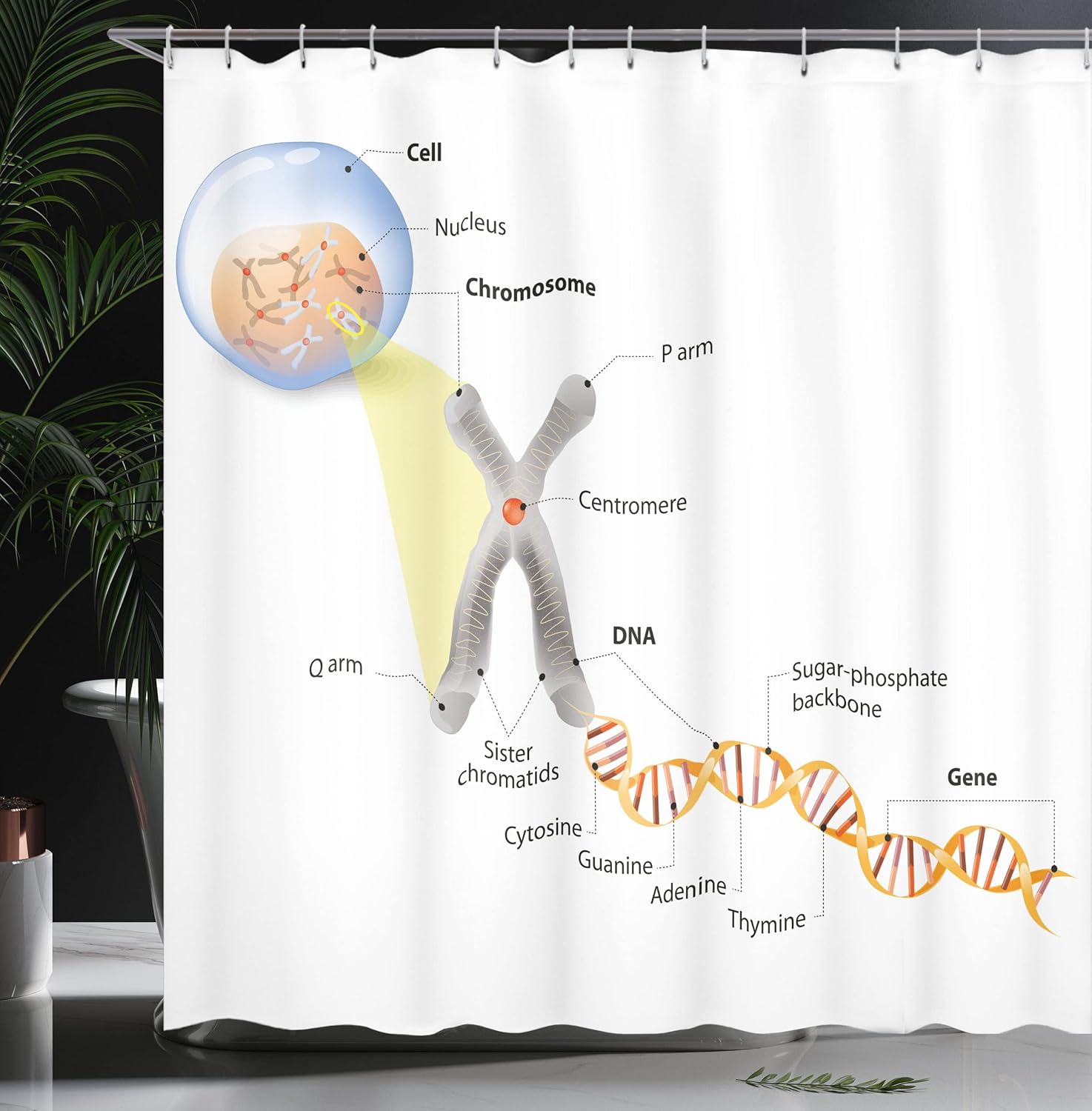 Ambesonne Science Shower Curtain, Cell Chromosome DNA Gene Genome Study Double Helix Evolution Science Research, Cloth Fabric Bathroom Decor Set with Hooks, 69" W x 70" L, Grey Blue