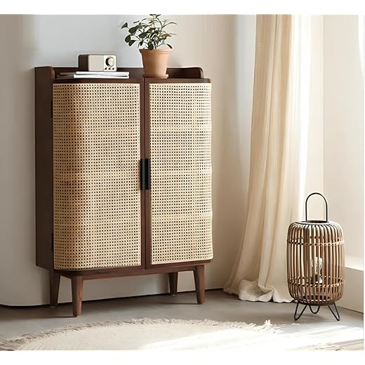 Modern Rattan Storage Cabinet - 20 Pair