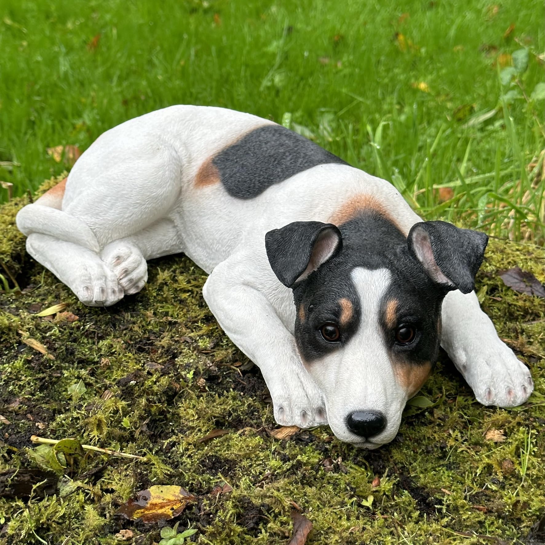 Animal Crackers Jack Russell Terrier figurine, lovely lifelike ornament in a laying pose, large (46cm long) and heavy weight indoor or outdoor sculpture or memorial/grave decoration