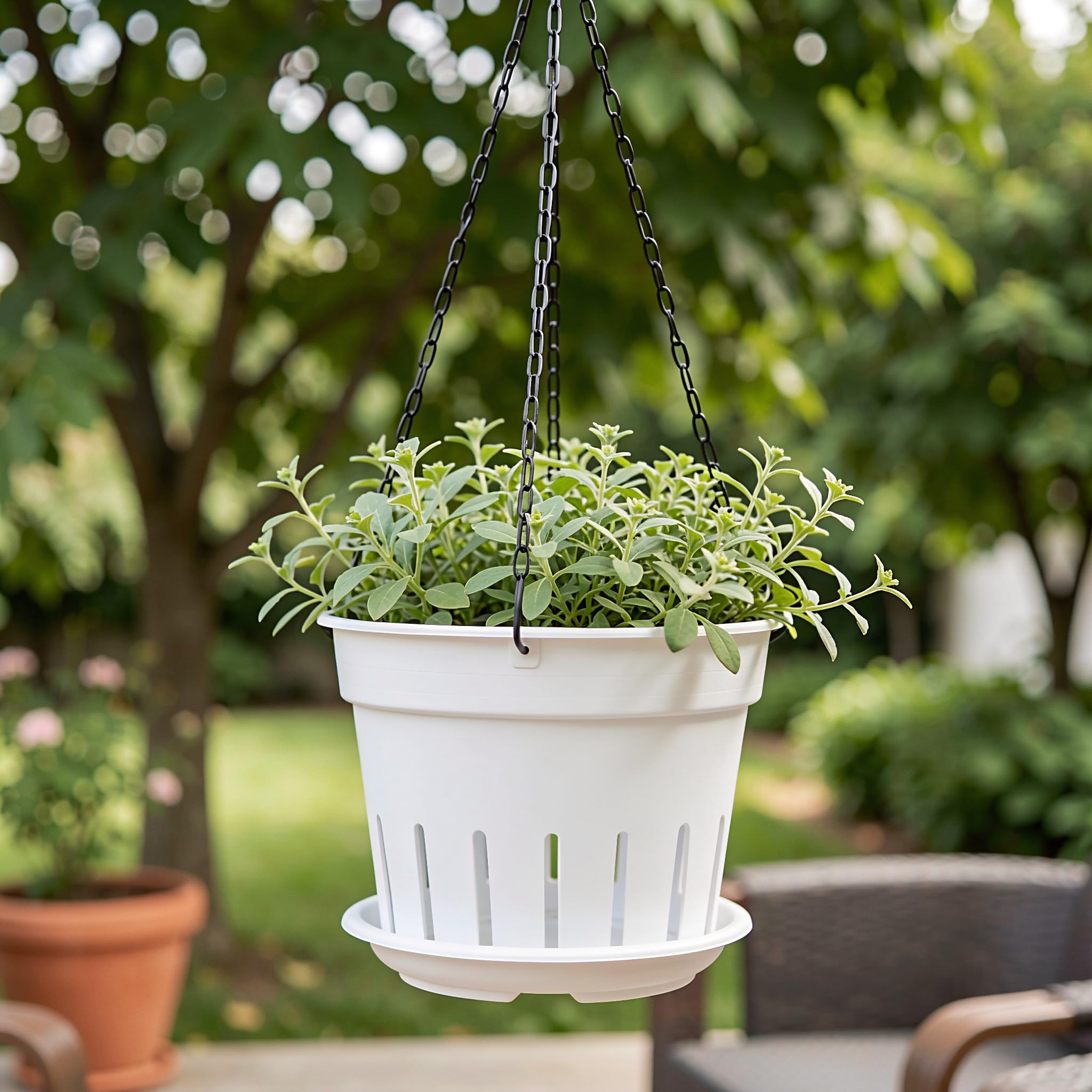 Luxshiny 4 set di vasi trasparenti per orchidee, fioriere in plastica