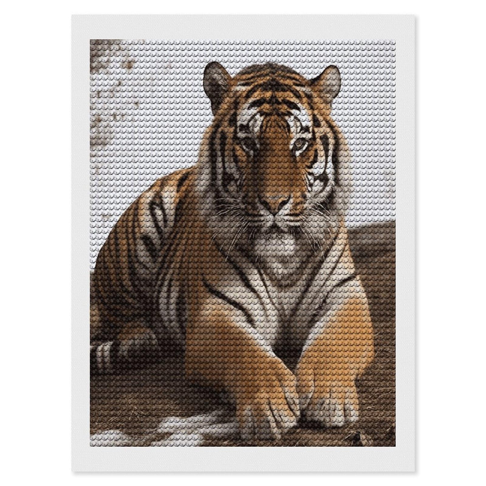 FekiLoot Big Tiger Diamond Art Kits for Adults Diamond Painting Kits for Beginners DIY Diamond Art Kits Round Full Drill Diamond Dot Gem Painting for Home Wall Decor Gift 12"x16"