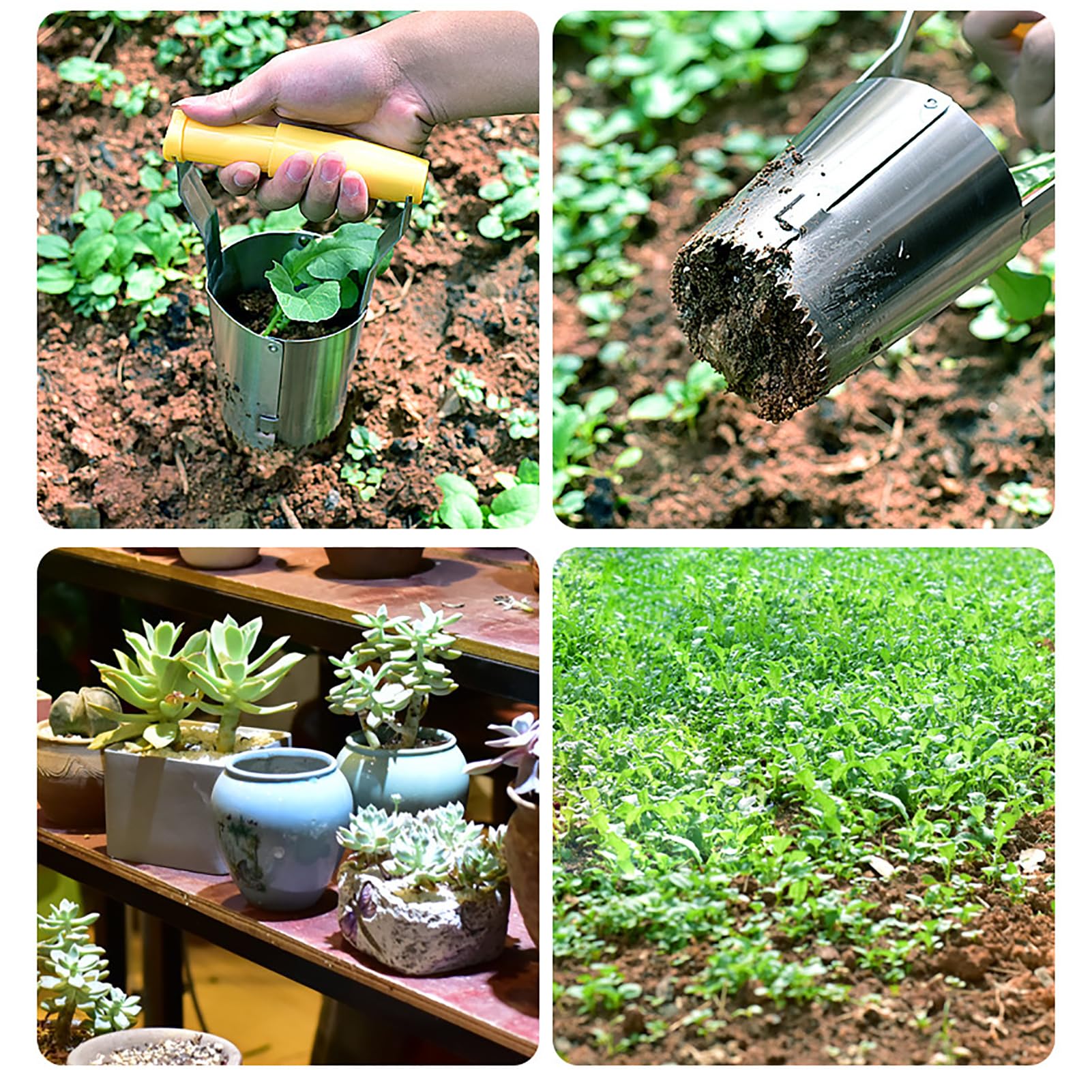 FAXIOAWA Trapiantatrice per Tubi per piantine agricole, Parti di Macchine per piantare Portatili da Giardino, Strumento per estrarre trapianti di Fiori
