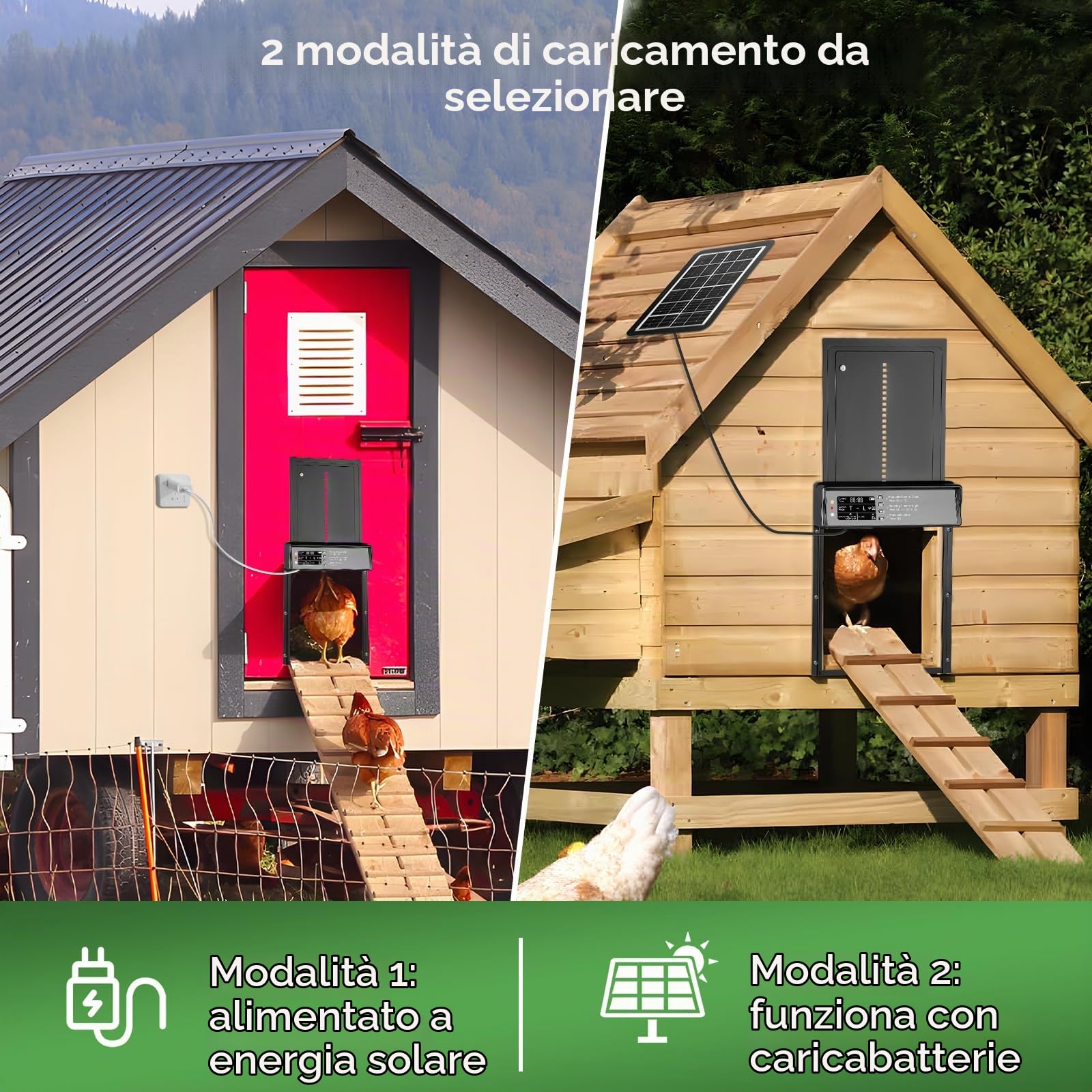 Porta Automatica per Pollaio Solare, Porta Pollaio Automatica in Alluminio con Schermo LCD Programmabile, Telecomando, Puerta Gallinero Automatica per Azienda Agricola