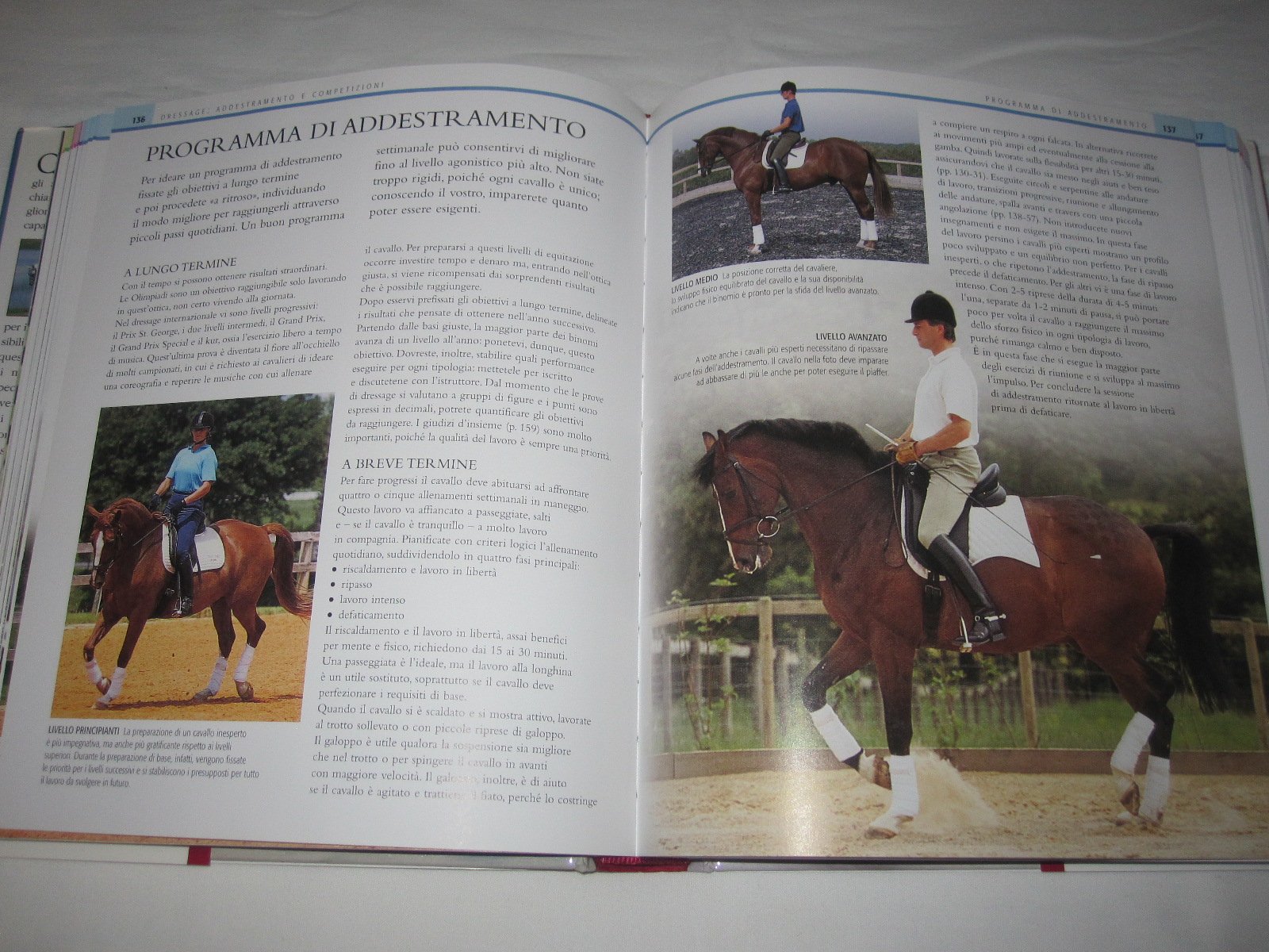 Manuale completo di equitazione. Ediz. illustrata