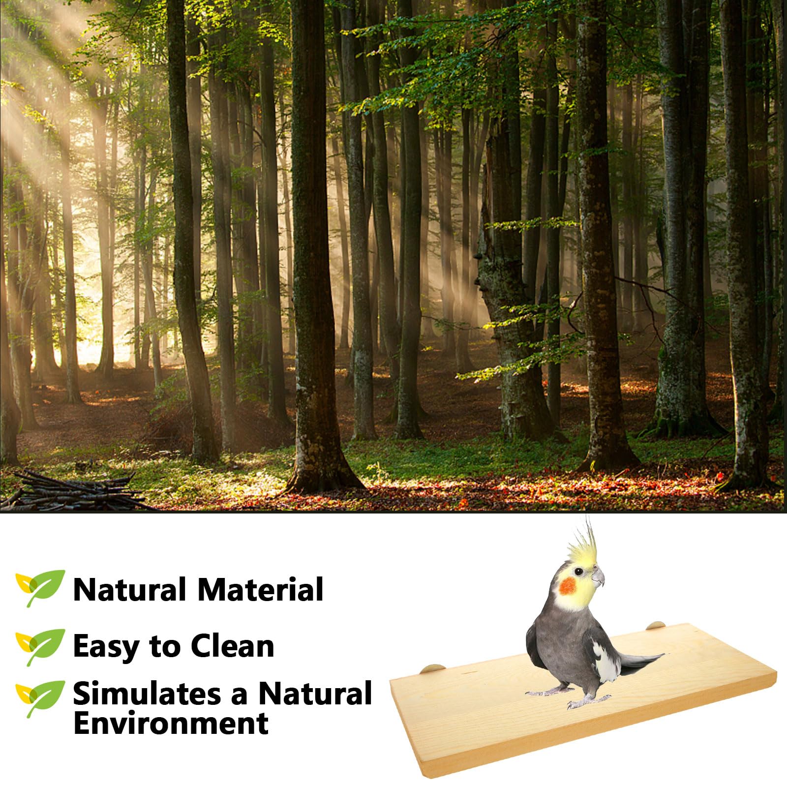4 Pack 5 x 12 Inches Bird Perches - Natural Wooden Flat Bird Perch - Rectangle Bird Perch Stand Platform for Parrot, Budgies, Parakeet, Cockatiels, Conure, Lovebirds - image 4