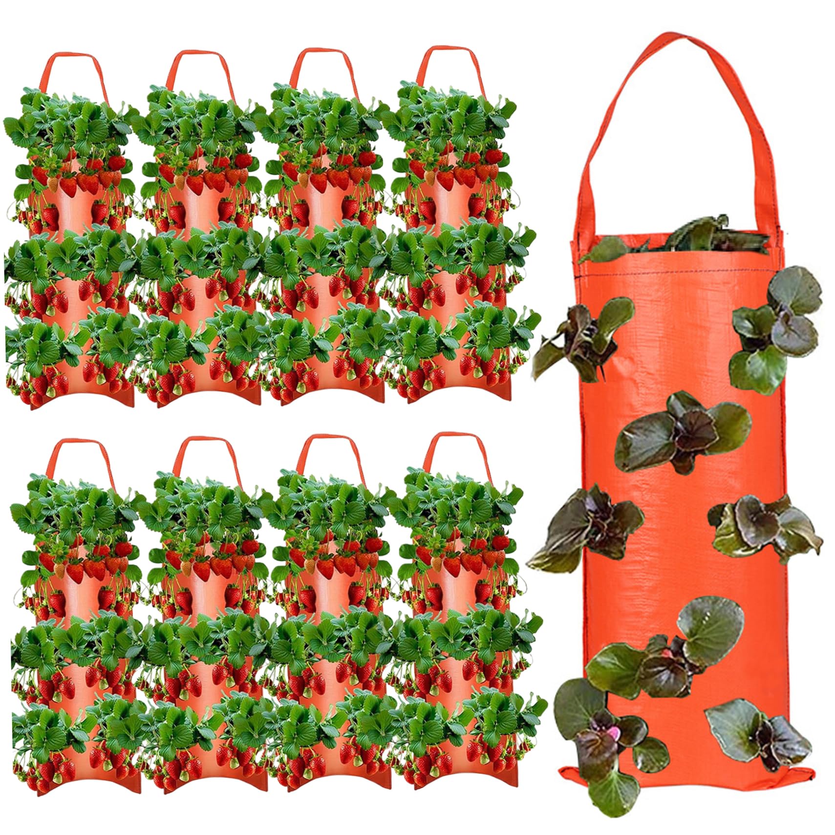 Bolsas para macetero de tomate al revés: cultiva en espacios pequeños sin plagas de suelo