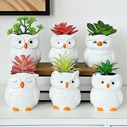 Lindas macetas de cerámica para suculentas de búho, maceta con drenaje y platillo adjunto, juego de 6, escritorio y decoración del hogar, plantas no