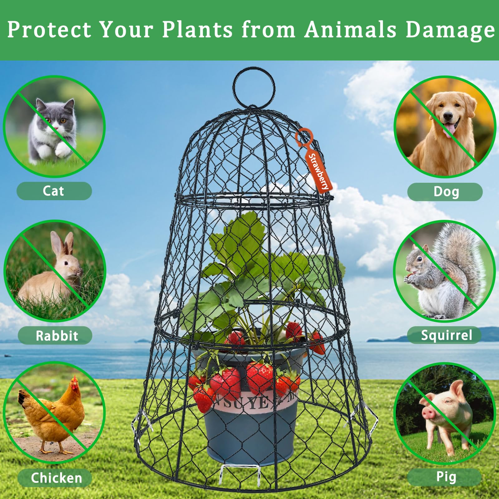 Lot de 3 housses de protection en fil de fer pour plantes, 45 cm x 29 cm, antirouille et robuste, avec piquets et étiquettes, cloches de jardin modulaires pour semis, fleurs, légumes, protéger des