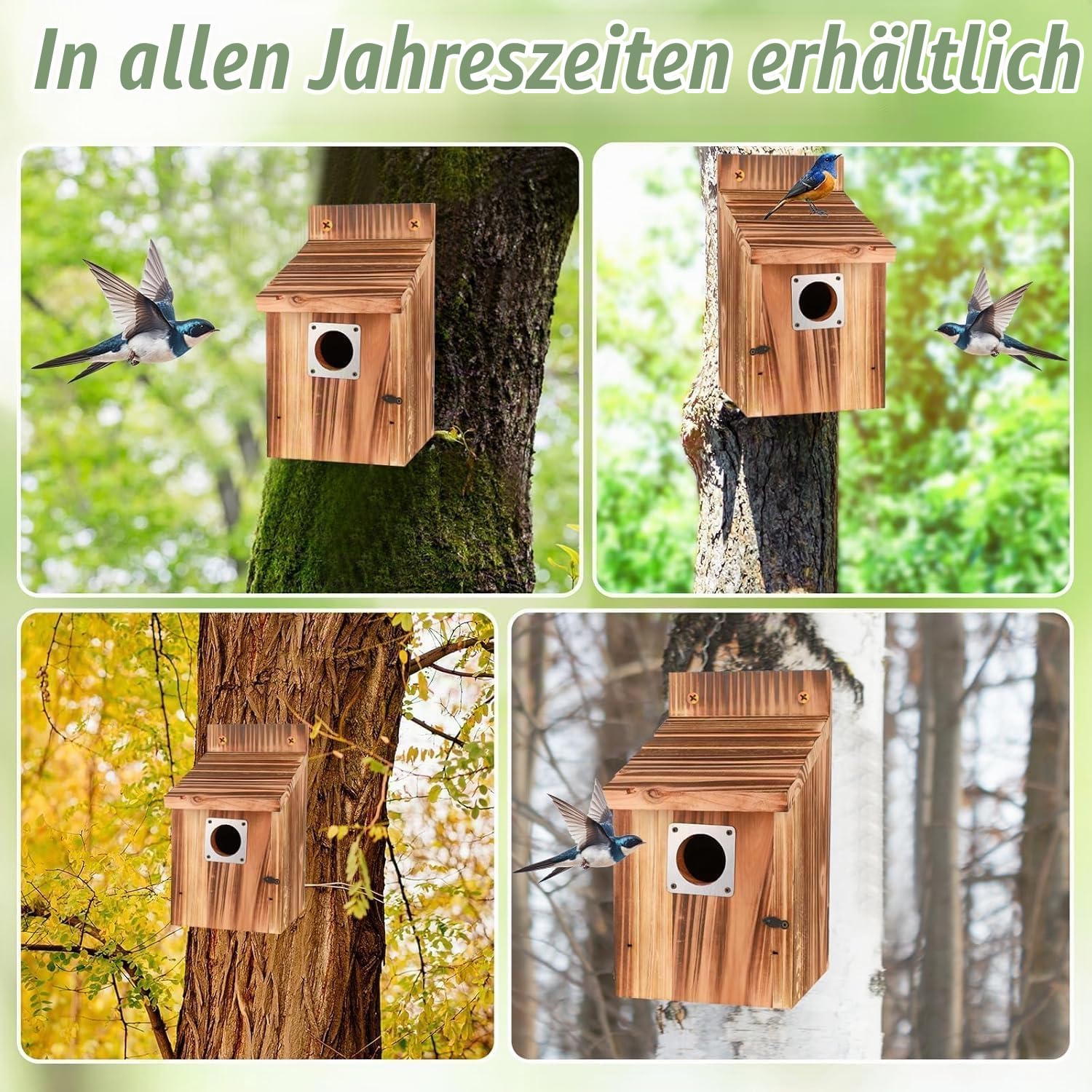 4 Stück Nistkasten für draußen wetterfest, Vogelhäuser mit Metallschutz, Sicherheitsschlössern, Flugschlitzen & Belüftung, 3,8cm Eingang