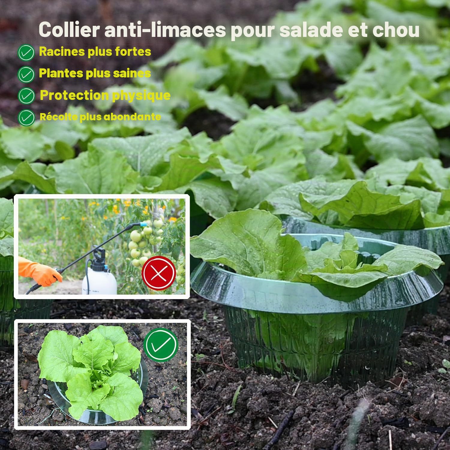 Collerette Anti-escargots pour Plantes de Salade, Protection sans Produits Chimiques, Plastique (15 pièces)