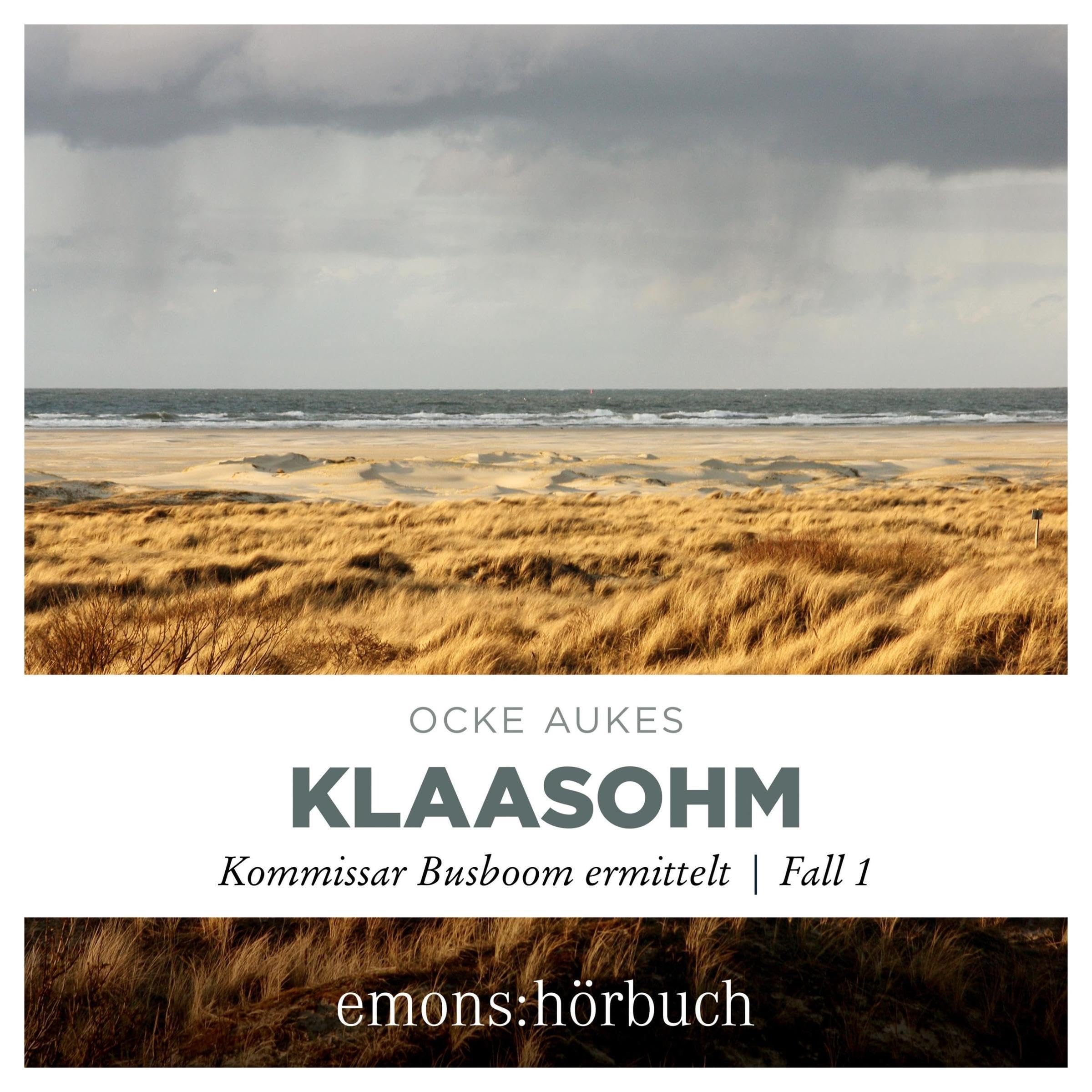 Cover art for Klaasohm