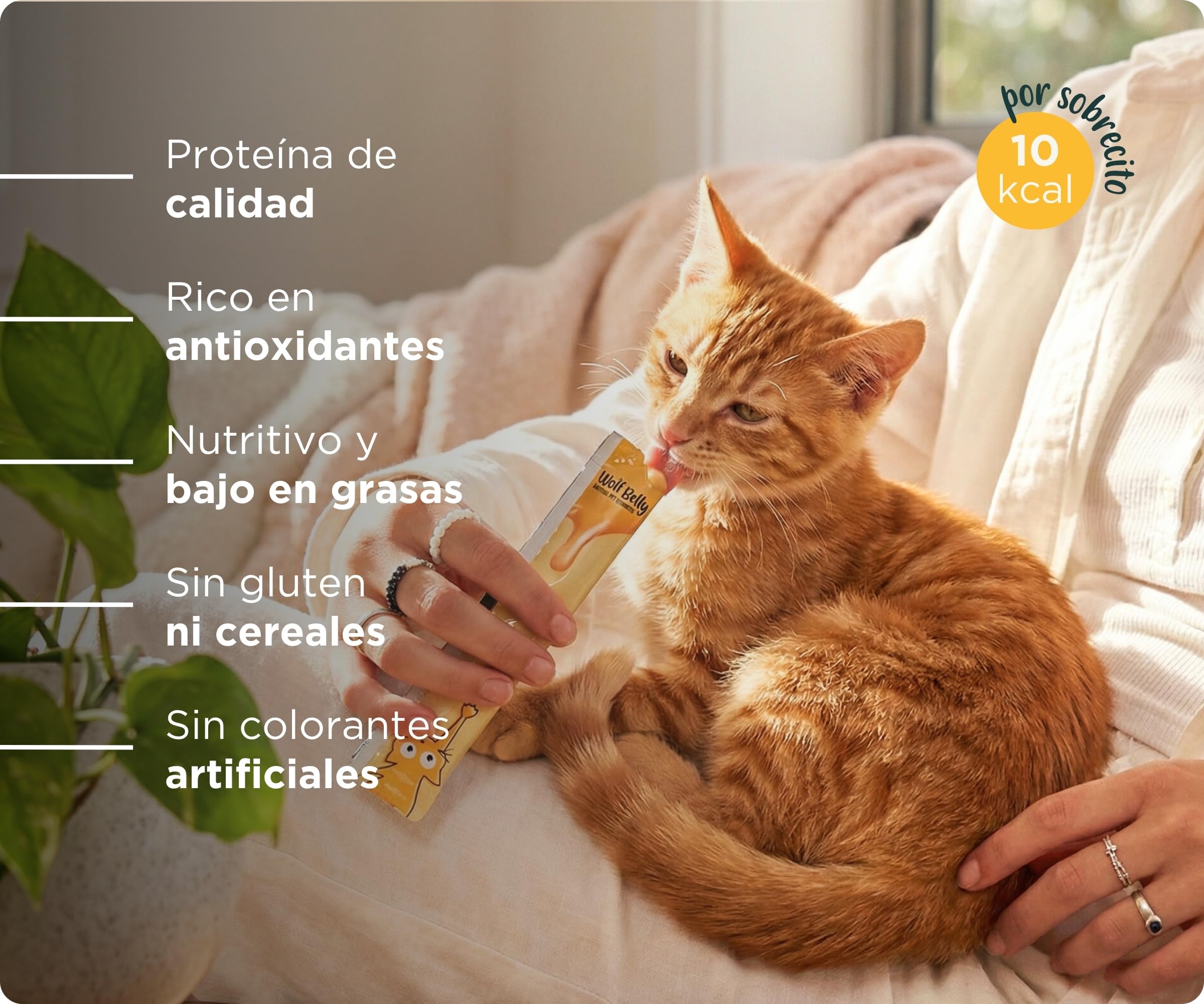 Wolf Belly - Snacks Gatos de Pollo (40 uds x 15g) Textura Cremosa | Chuches Saludables y Deliciosas | Naturales y Altos en Proteínas | Sin Cereales ni Colorantes Artificiales - Hecho en España