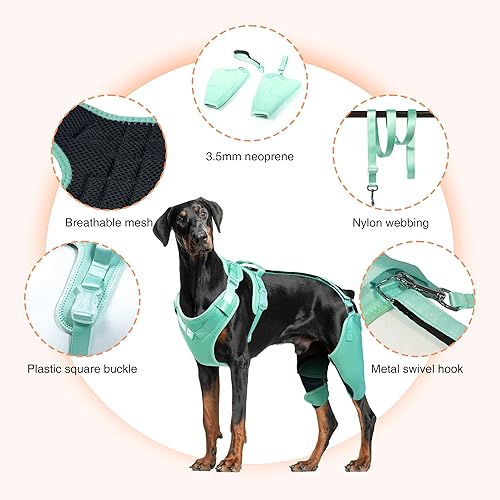 Miniatura 6 de Soporte de cadera para perro para displasia de cadera, rótula luxante, dolor de cadera, soporte para displasia de cadera para perro, articulaciones