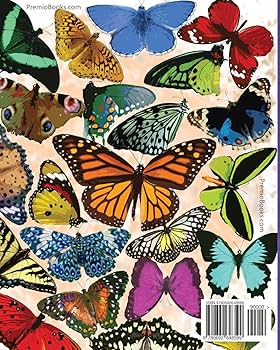The International Butterfly Book 英語版 初版本 The International Butterfly Book 英語版 初版本 The