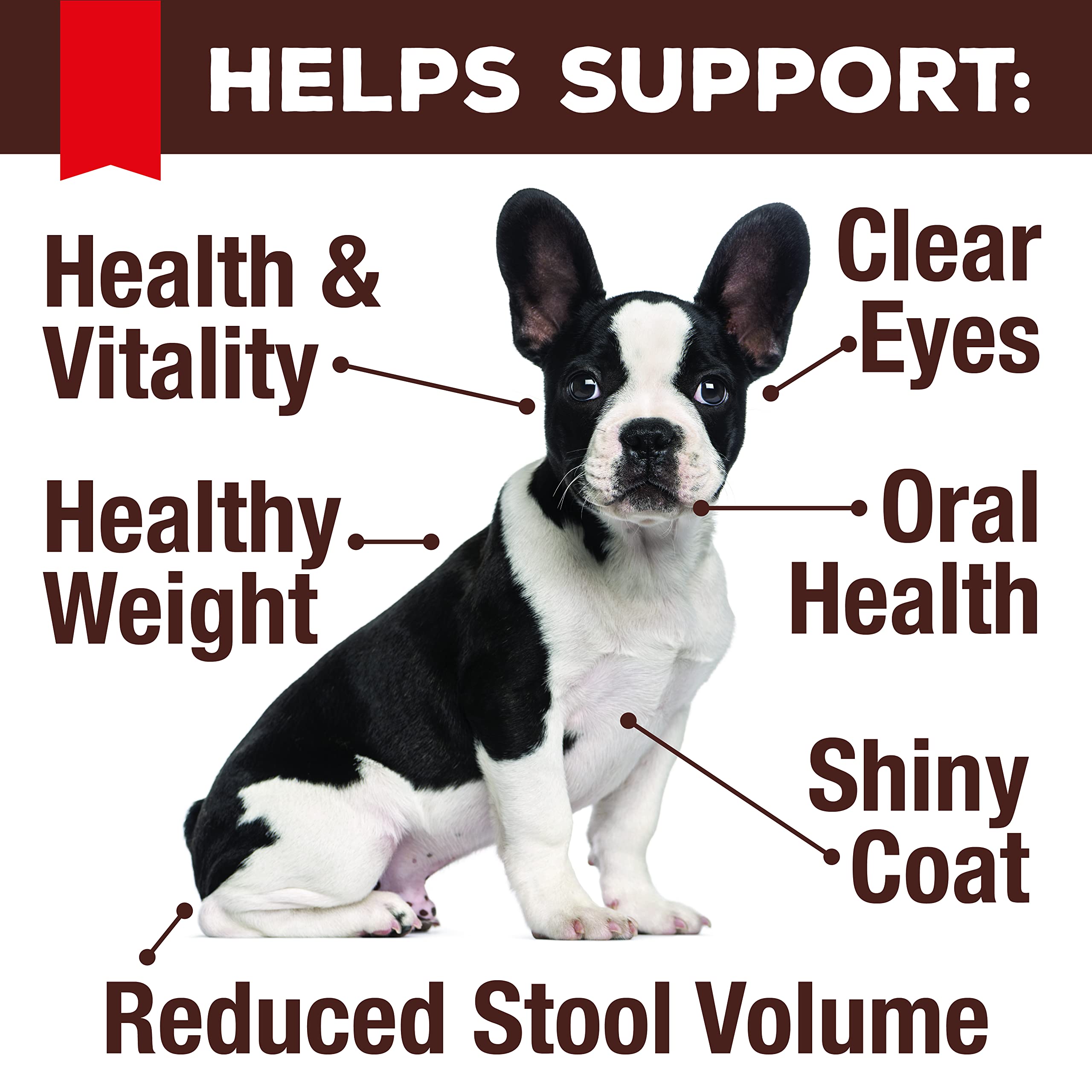 Primal Freeze Dried Dog Food Nuggets, 5.5 oz Venison Formula Made in