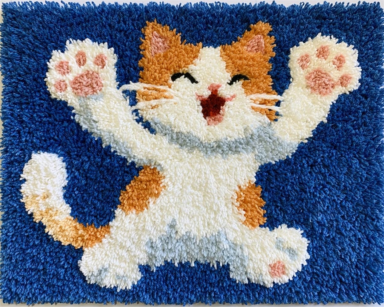FWRTYCB Latch Hook Kits Rugs,Dancing cat