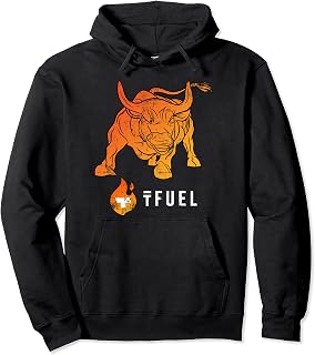 Retro TFUEL Crypto BULLRUN Theta Fuel Crypto Token Coin HODL Pullover Hoodie