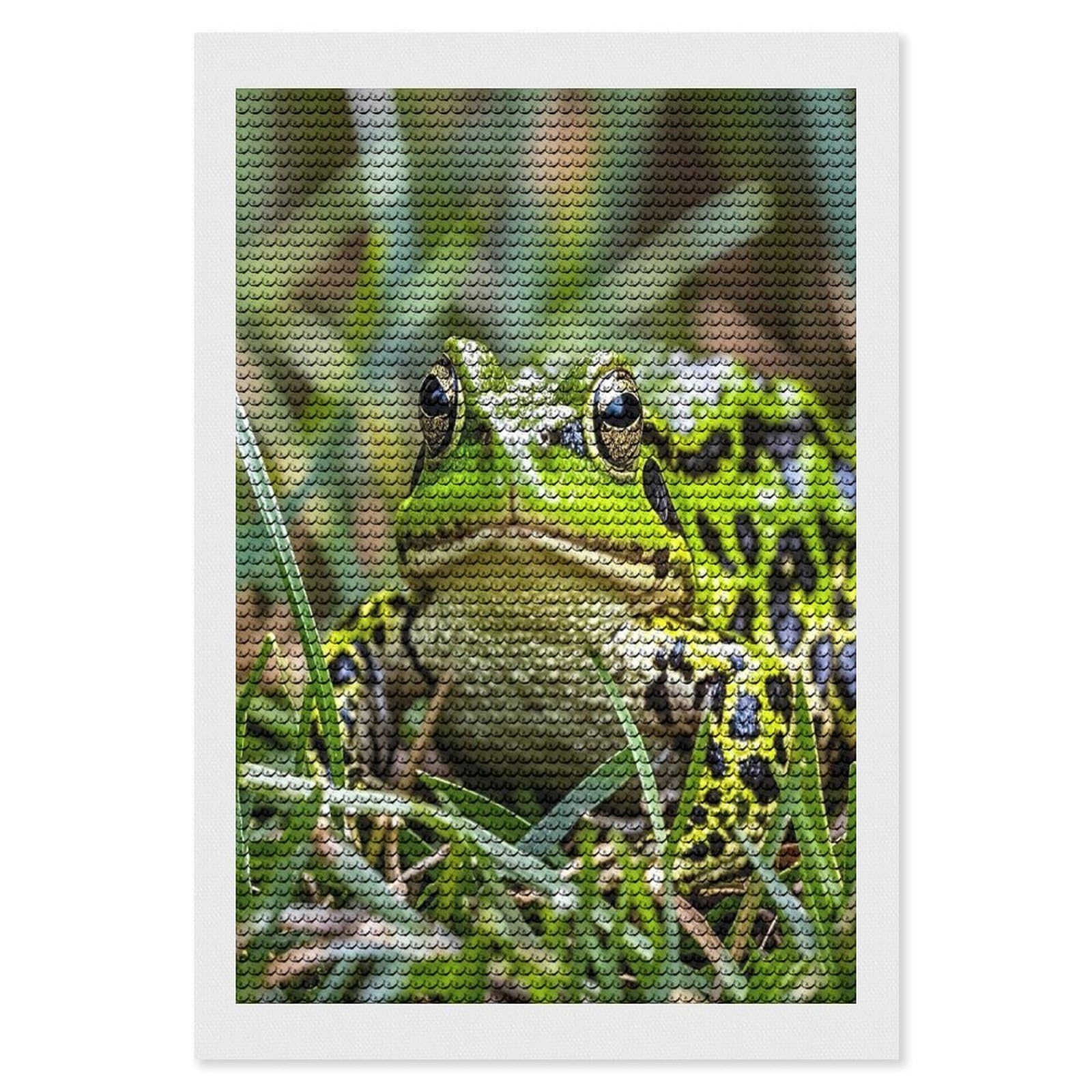 FekiLoot Frog Diamond Painting Kits for Adults Full Round Drill Diamond Art Kits for Beginners 5D DIY Diamond Dots Paintings Diamonds Pictures Gem Art Home Wall Decor 8"x12"