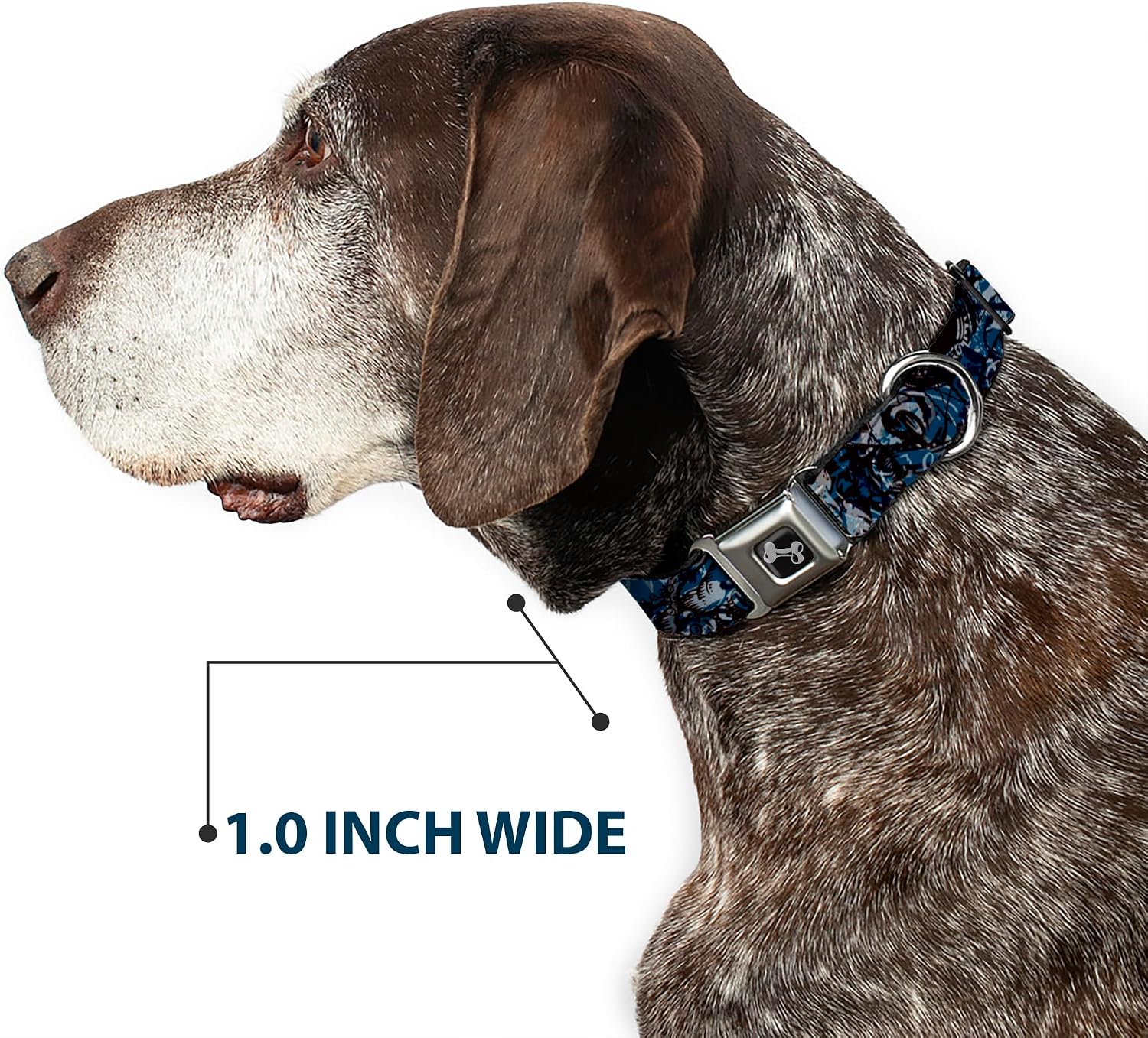 Buckle-Down Seatbelt Buckle Dog Collar - Gothic 5 - 1" Wide - Fits 15-26" Neck - Large