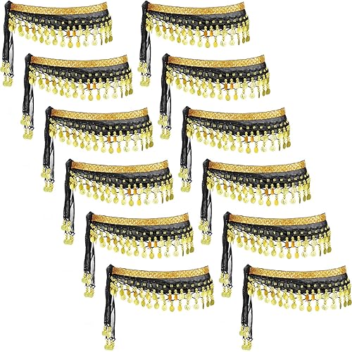 Zhanmai 12 Pieces Belly Dance Hip Scarf Belt with Coins Belly Dancing Skirt Chiffon 12 Colors Waist Chain Dance Hip Scarf