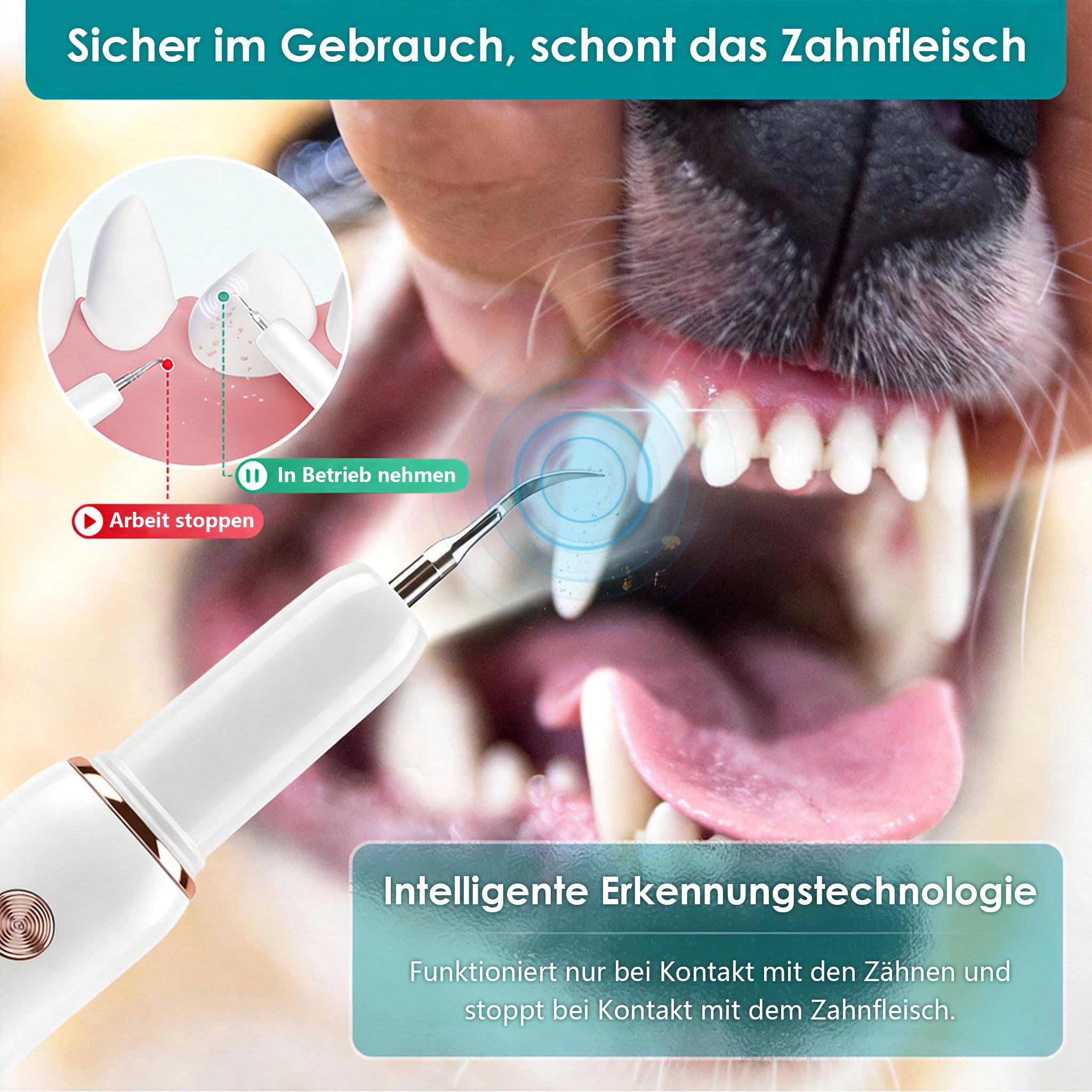 FIVAVA Zahnsteinentferner Hunde, Zahnreinigungsset Ultraschall für Hund, 5 Reinigungsmodi, zur Entfernung von Zahnstein & Zahnbelag, mit LED-Licht, wiederaufladbar