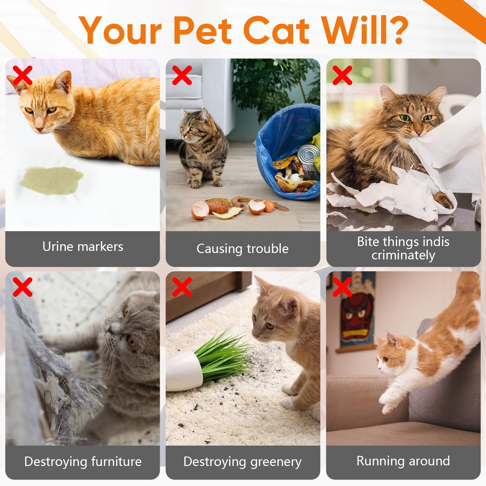 Cat Deterrent Spray 2 Pack, Natural Non-Toxic Plant Based Anti-Scratch & Anti-Marking Spray for Cats & Kittens, Orange Scent Pet Training Aid, Safe for Pets, Indoor Outdoor Furniture, Protector — view 3