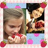 Collage de la foto de la frambuesa